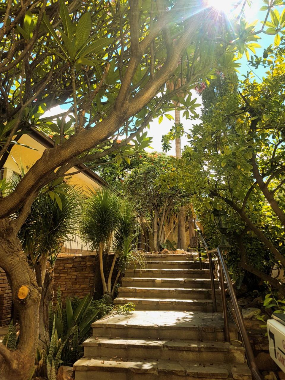 Hotel Pension Steiner Windhoek Dış mekan fotoğraf